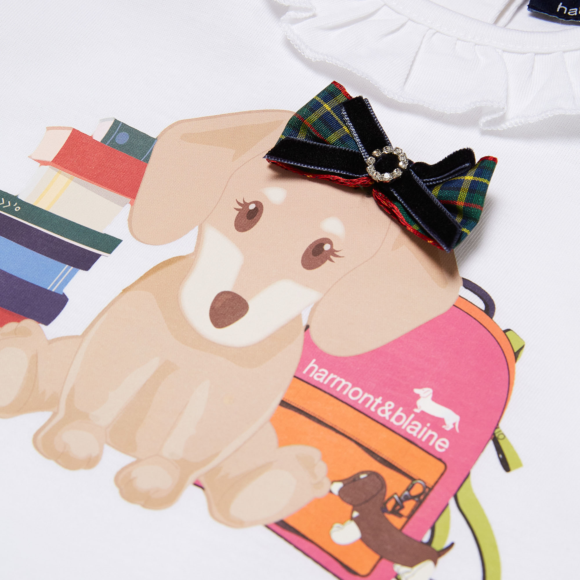 Dachshund print t-shirt, White, large image number 2