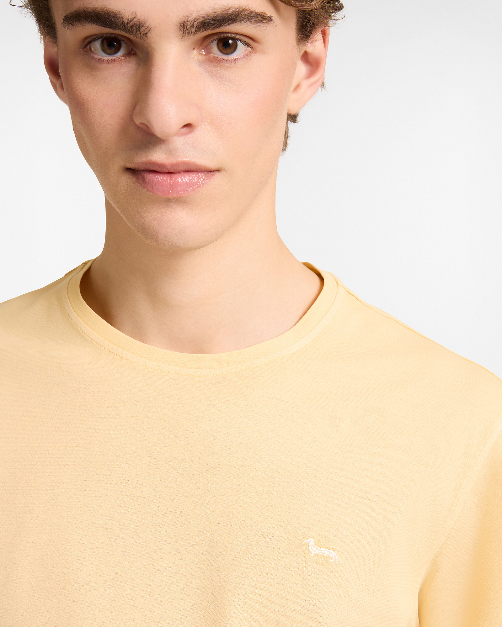 Cotton T-Shirt Capsule Earth Dye, Yellow, large image number 2