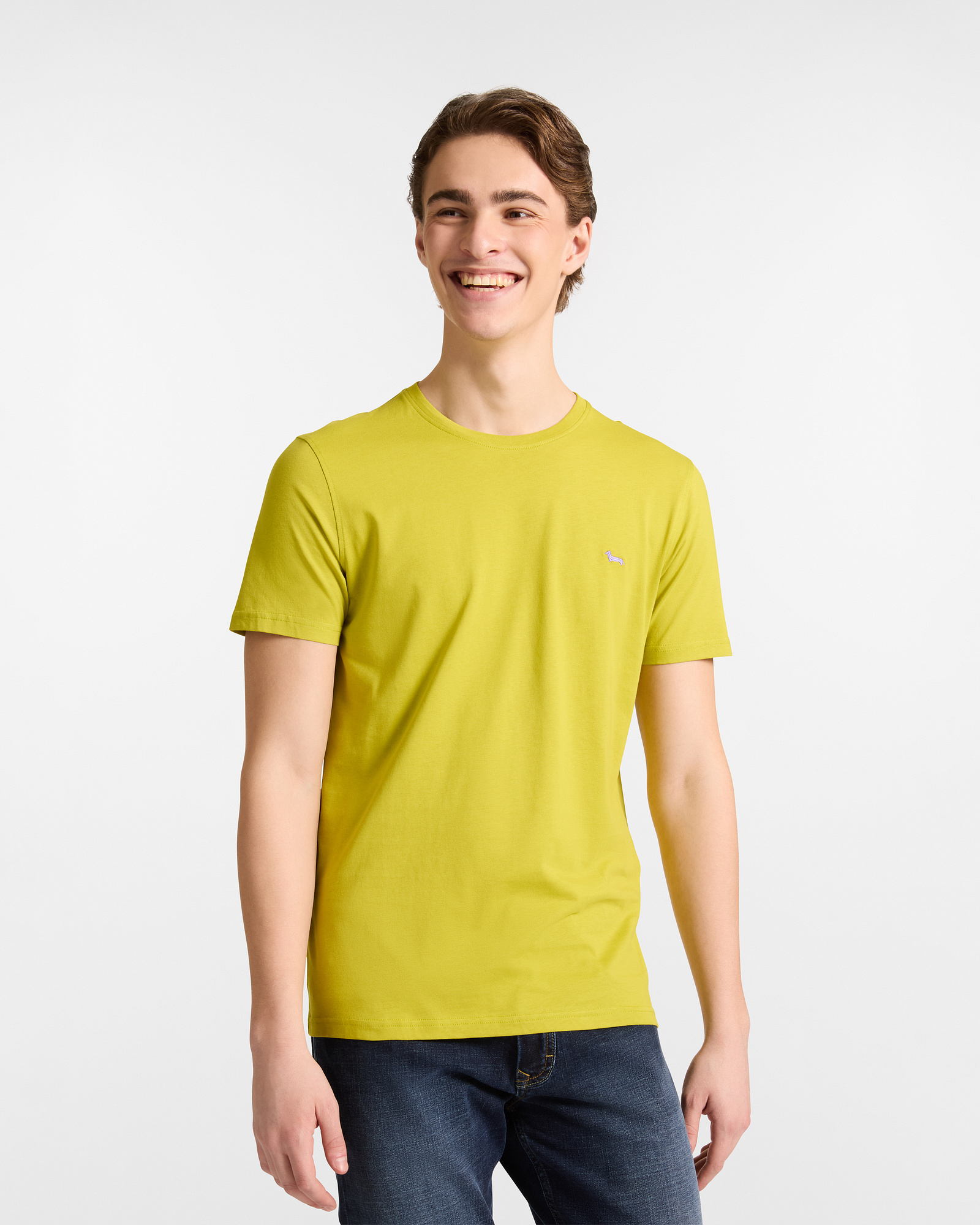 Cotton T-Shirt with Dachshund, Green, large