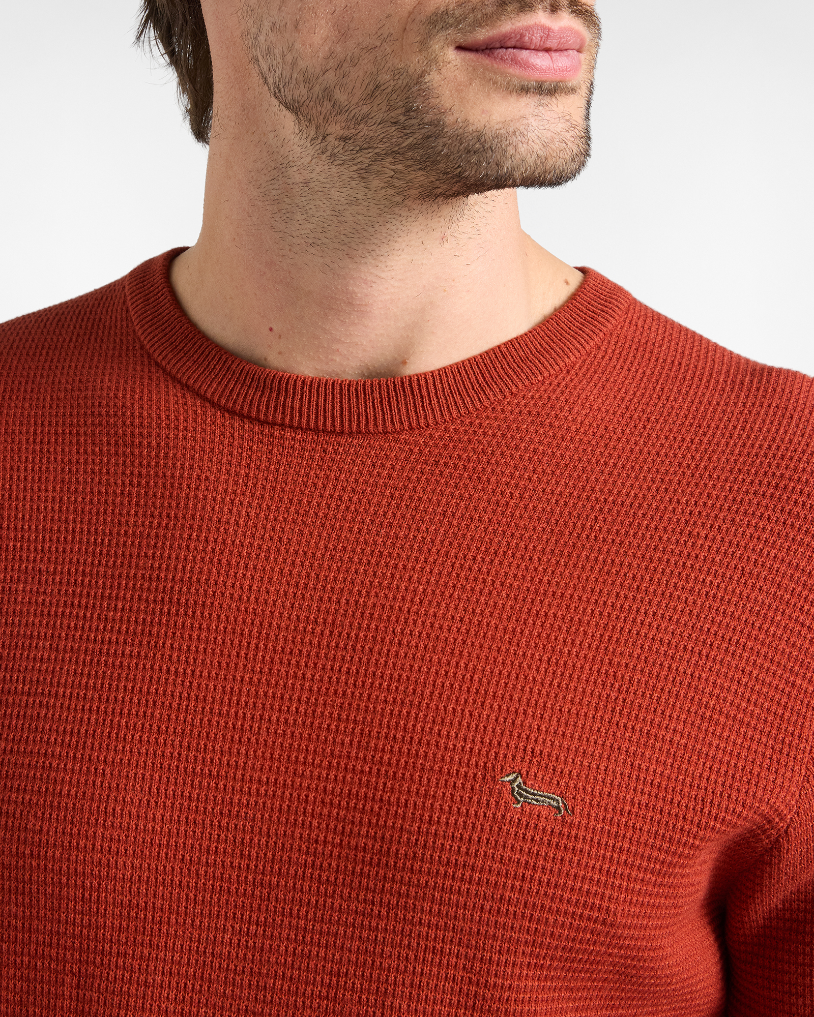Jersey Hombre en mezcla de lana y algod&oacute;n  Regular Fit, ROJO LADRILLO, large