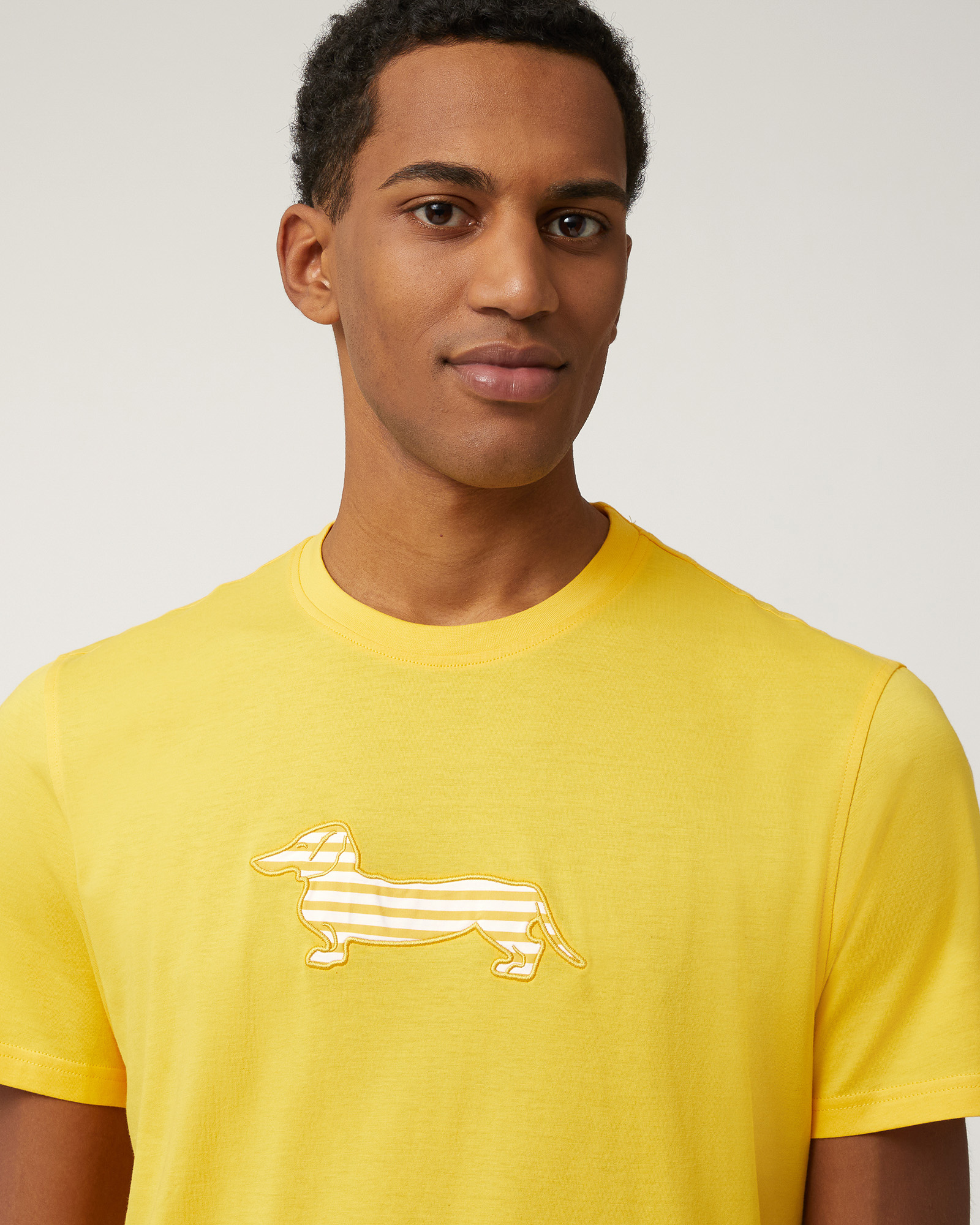 Sorbet T-Shirt with Dachshund, Canary Yellow, large image number 2