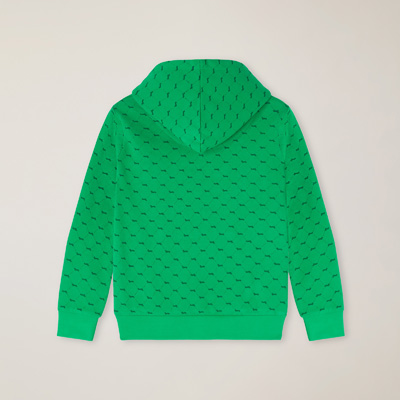 Sweatshirt mit Dackel-Druck, Grasgrün, large image number 1