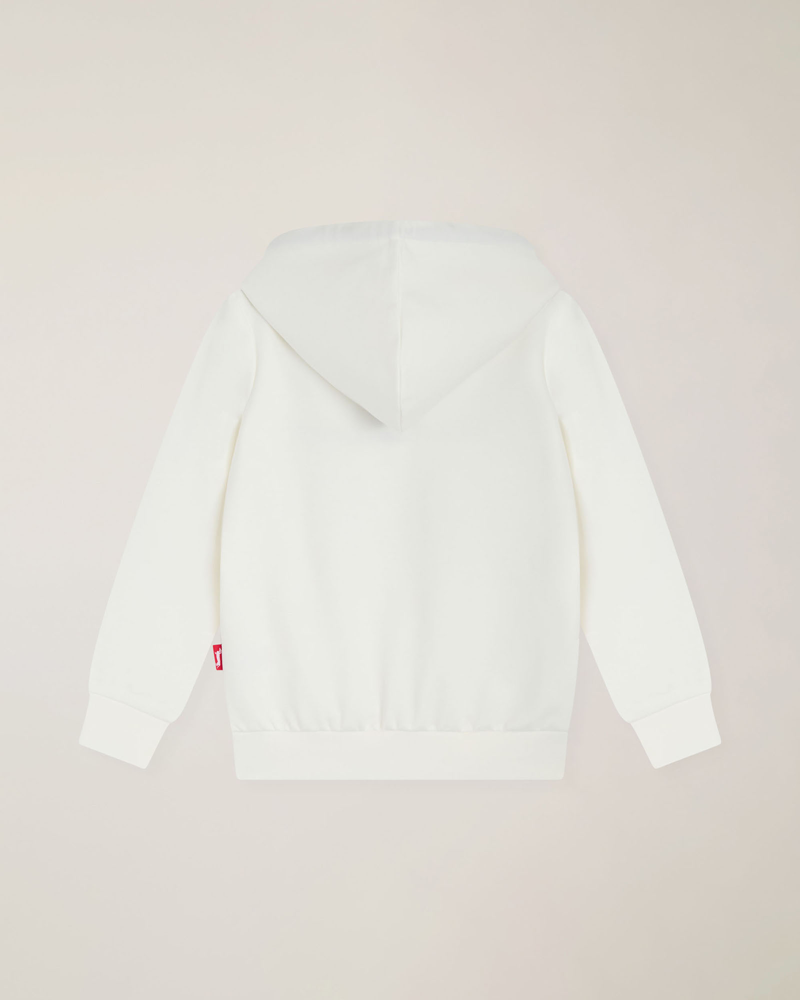 Hoodie with embroidered logo