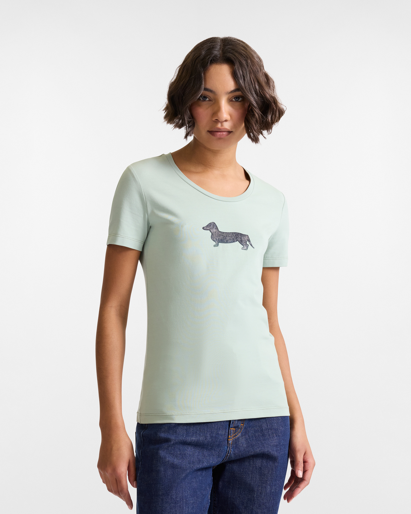 Camiseta con Perro Salchicha de Strass, Verde Claro, large image number 0