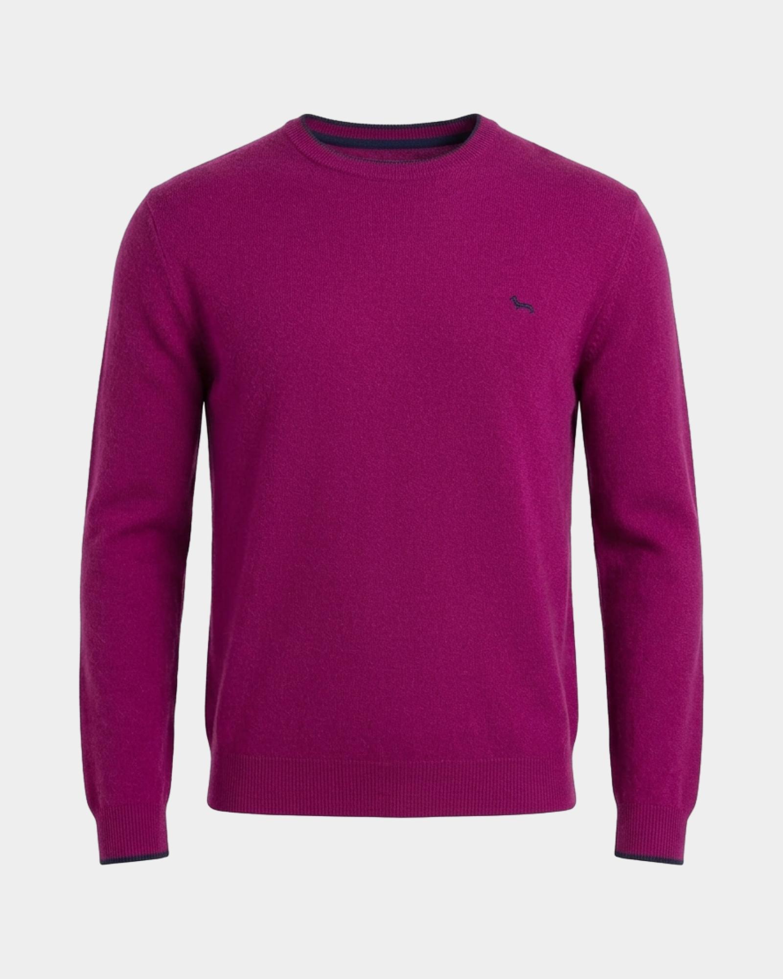 Jersey Hombre de cuello redondo con raya en contraste en mezcla de lana y cachemir   Regular Fit, CICLAMEN, large
