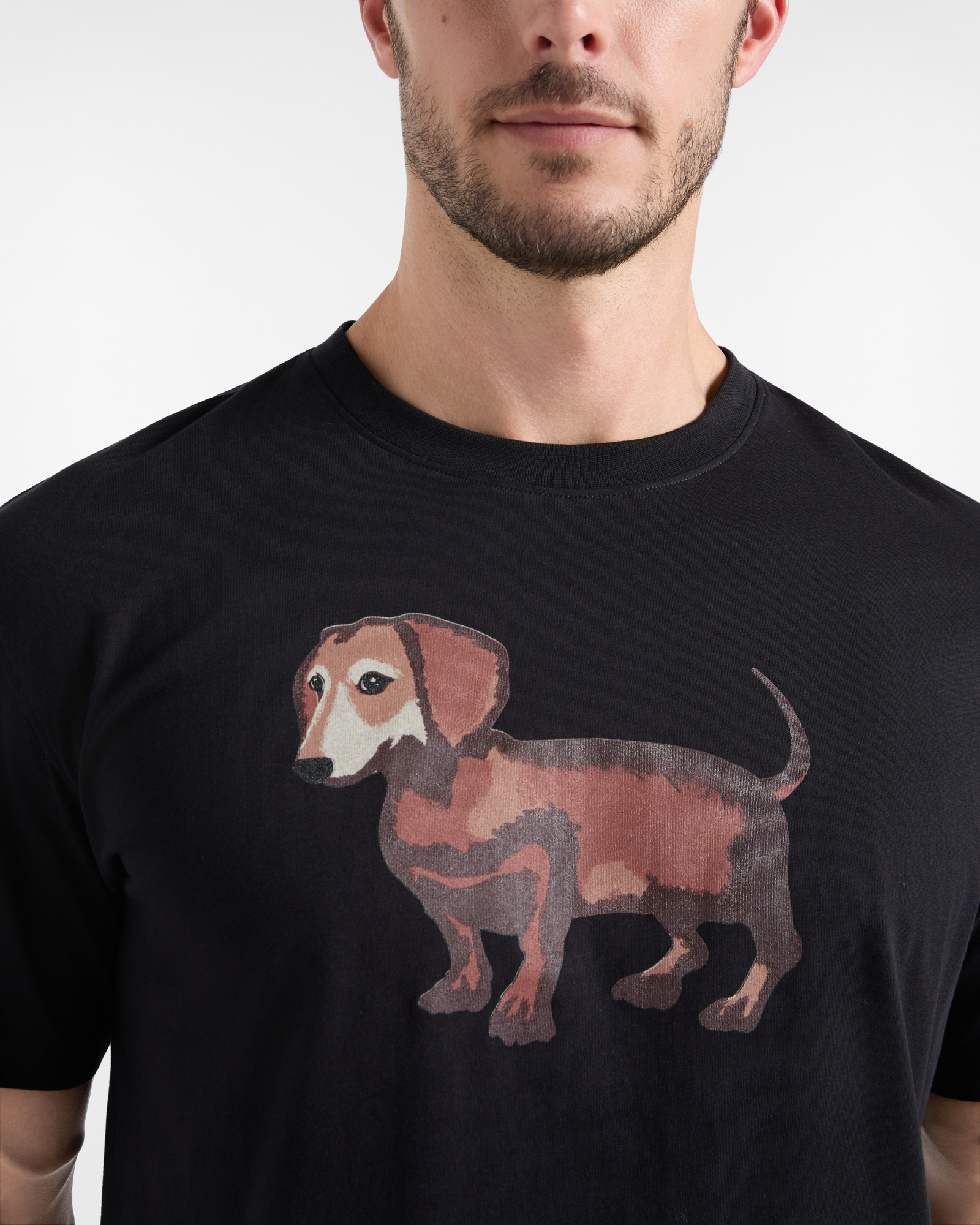 T-shirt Uomo in Jersey di Puro Cotone con Stampa Bassotto Effetto Acquerello, NERO, large