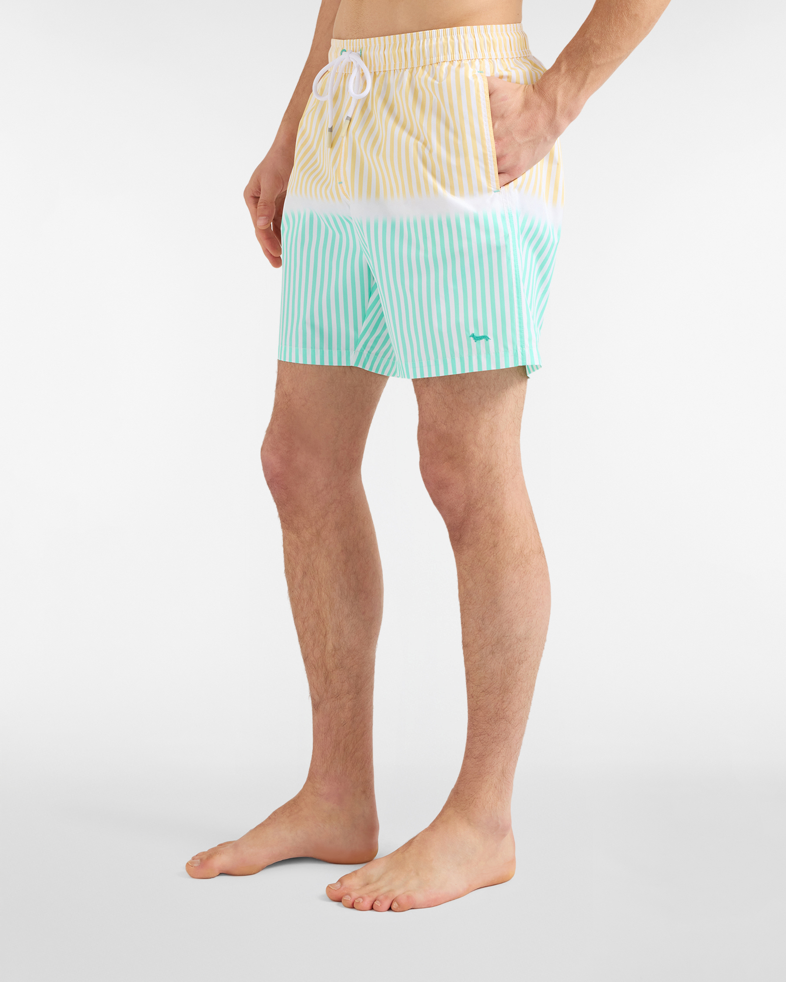 Stripe print swim shorts