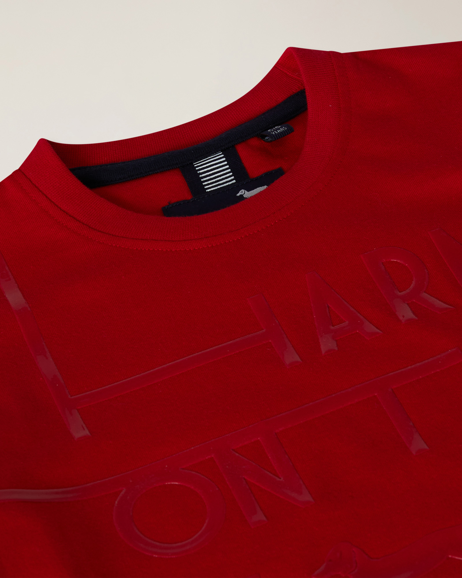 T-shirt con stampa silicone, Rosso, large image number 2