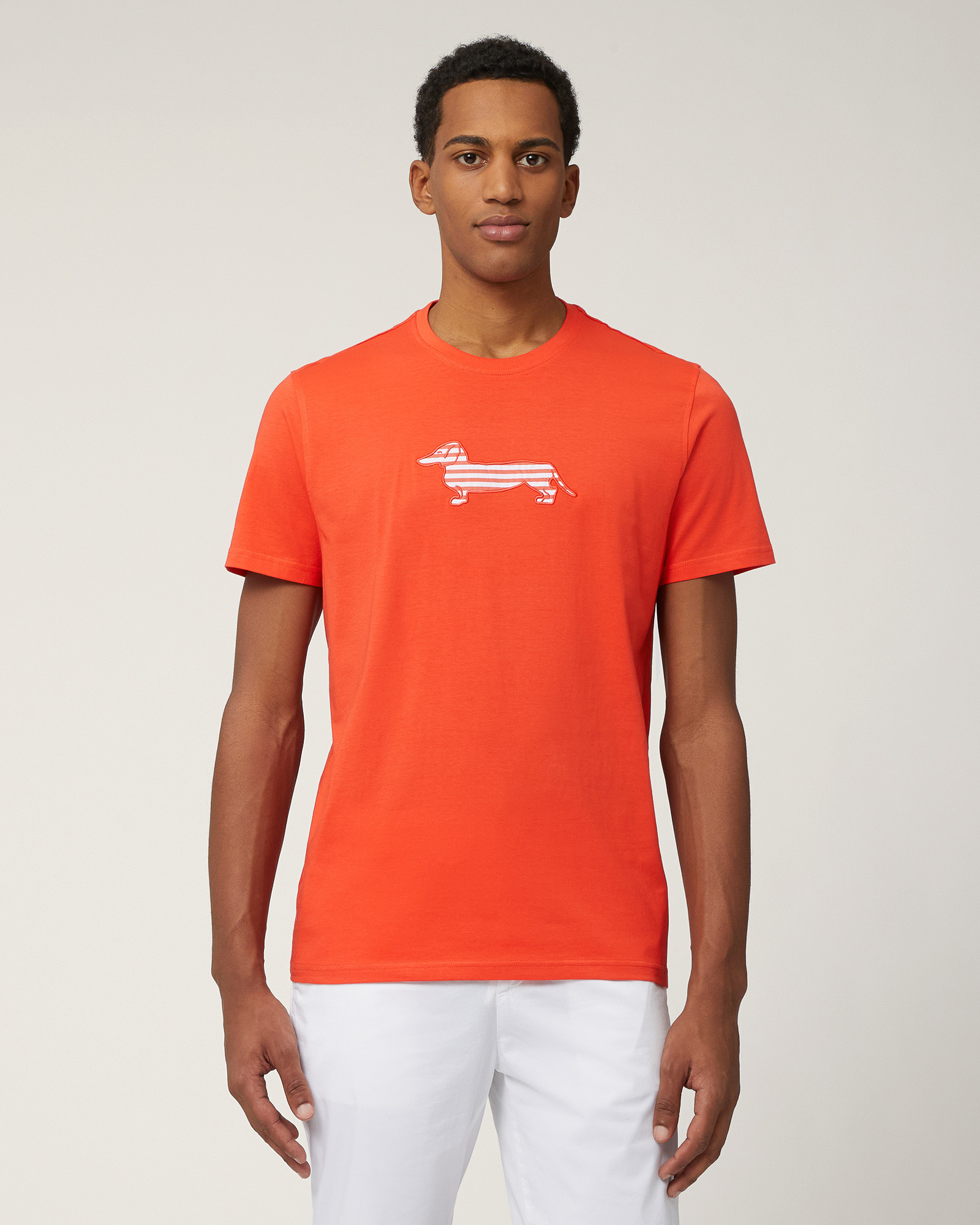 Sorbet T-Shirt with Dachshund, Orange, large
