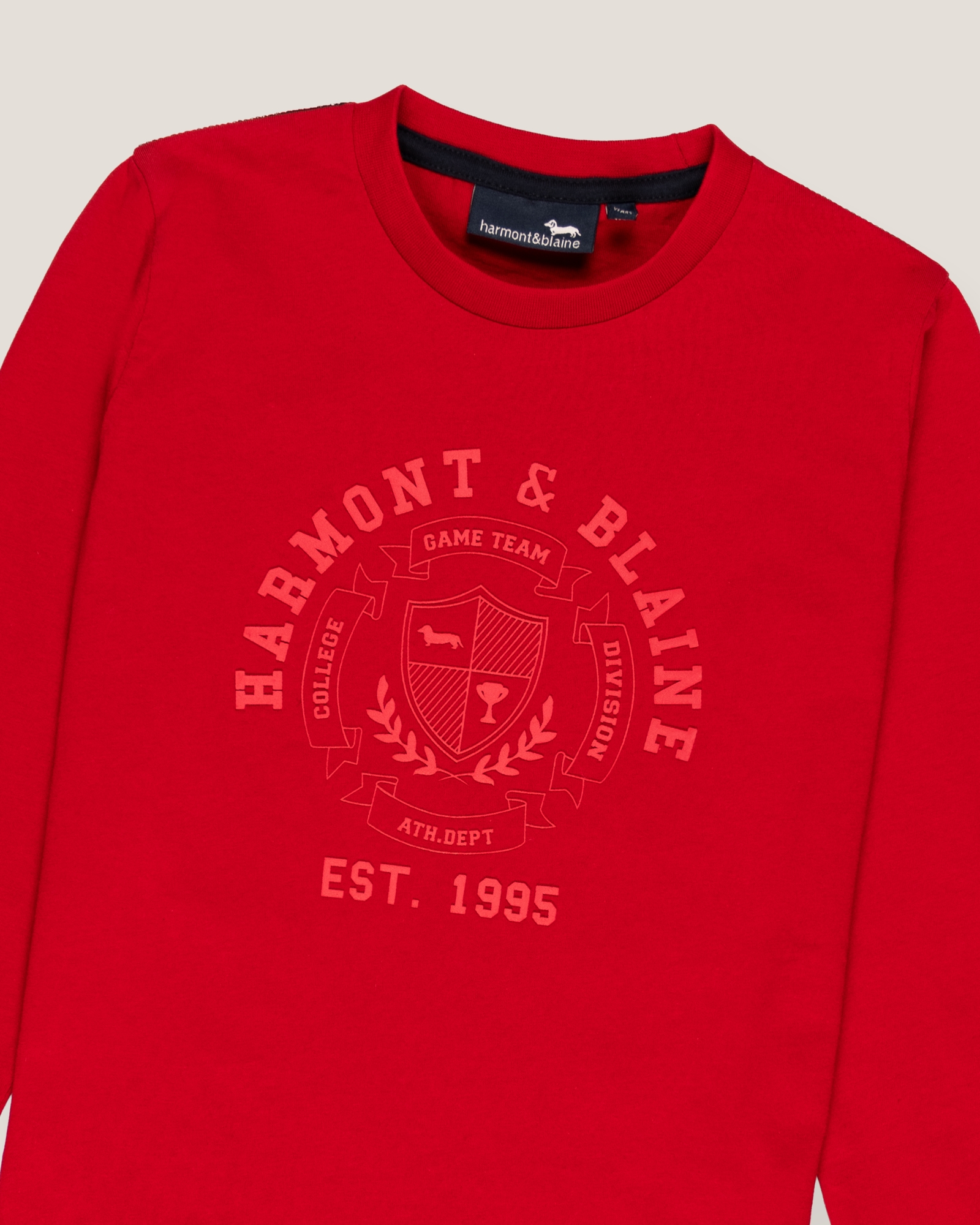 Long-sleeve t-shirt with tone-on-tone print, Red, large