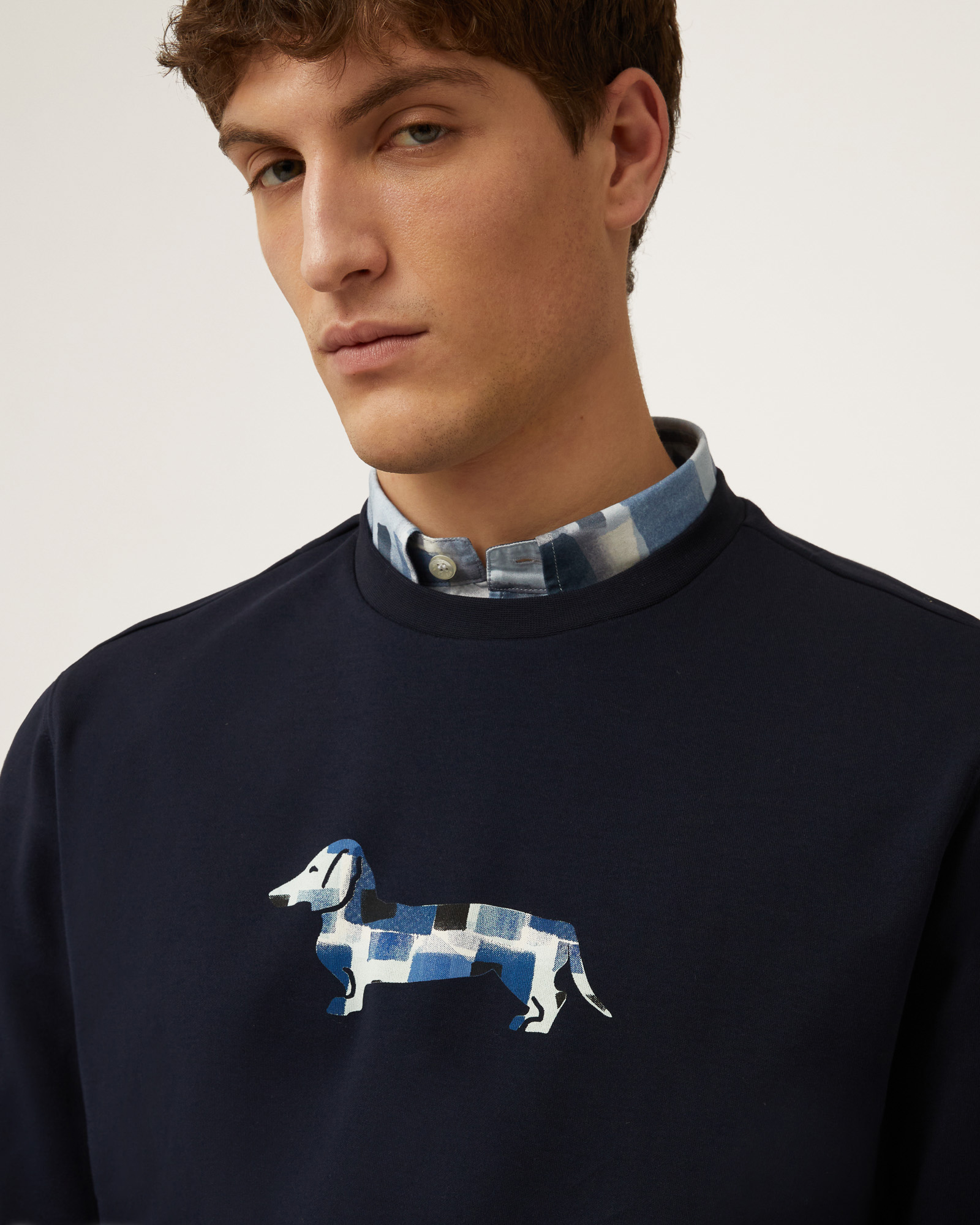 Sweat-shirt En Coton Avec Teckel, Marine, large image number 2