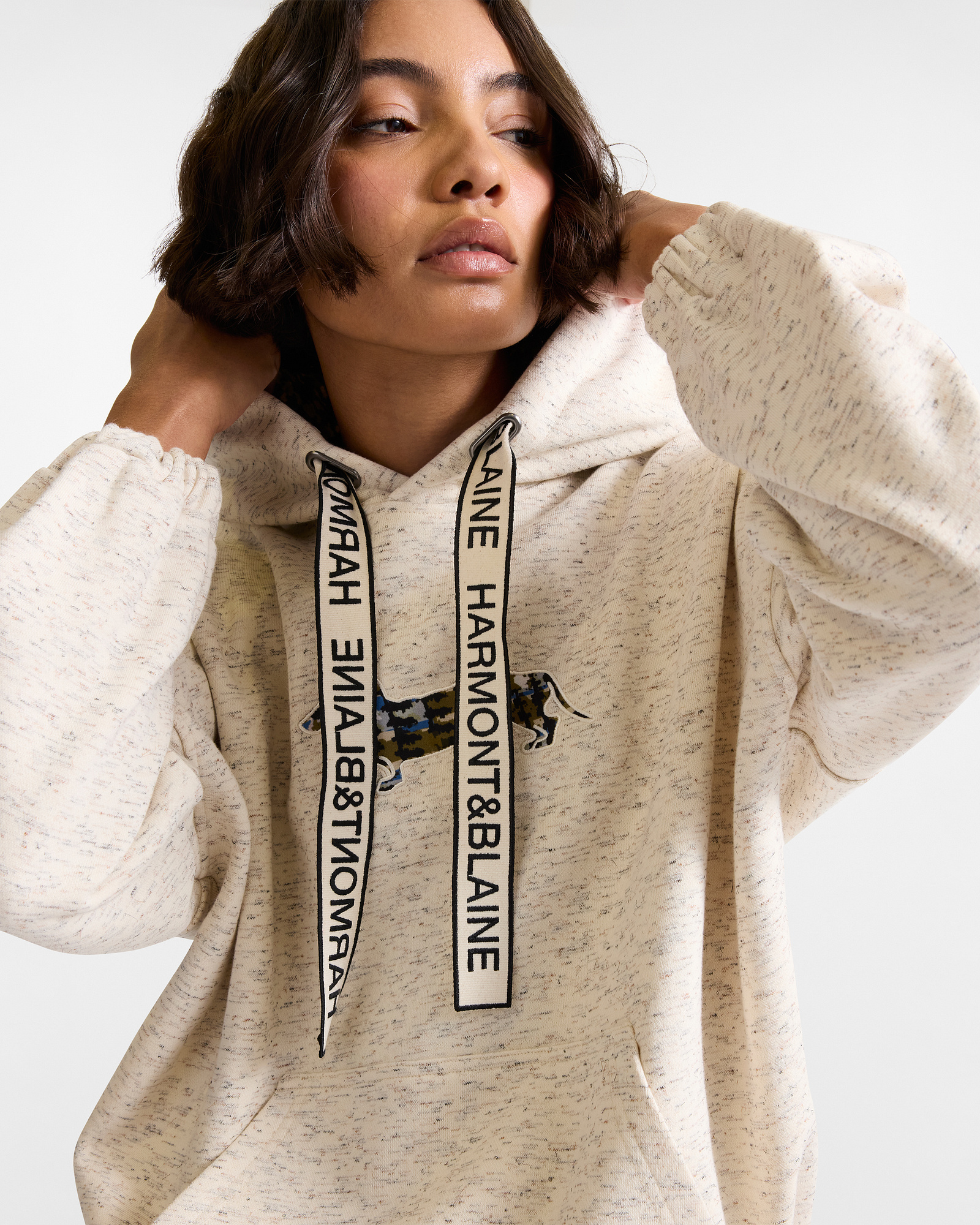 Oversized Hoodie with Embroidered Maxi Dachshund, Beige, large image number 2