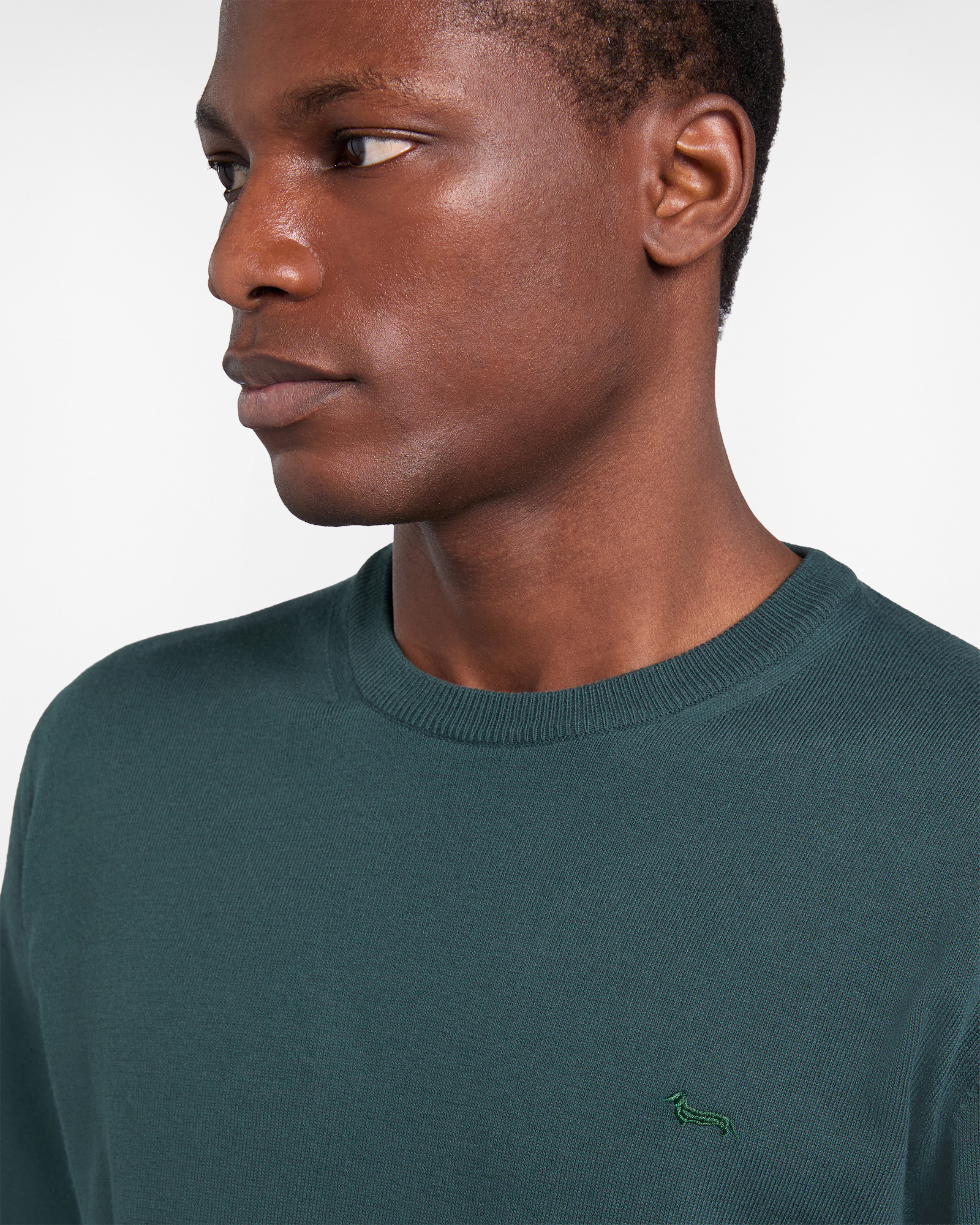 Pullover girocollo in cotone, Verde, large image number 2