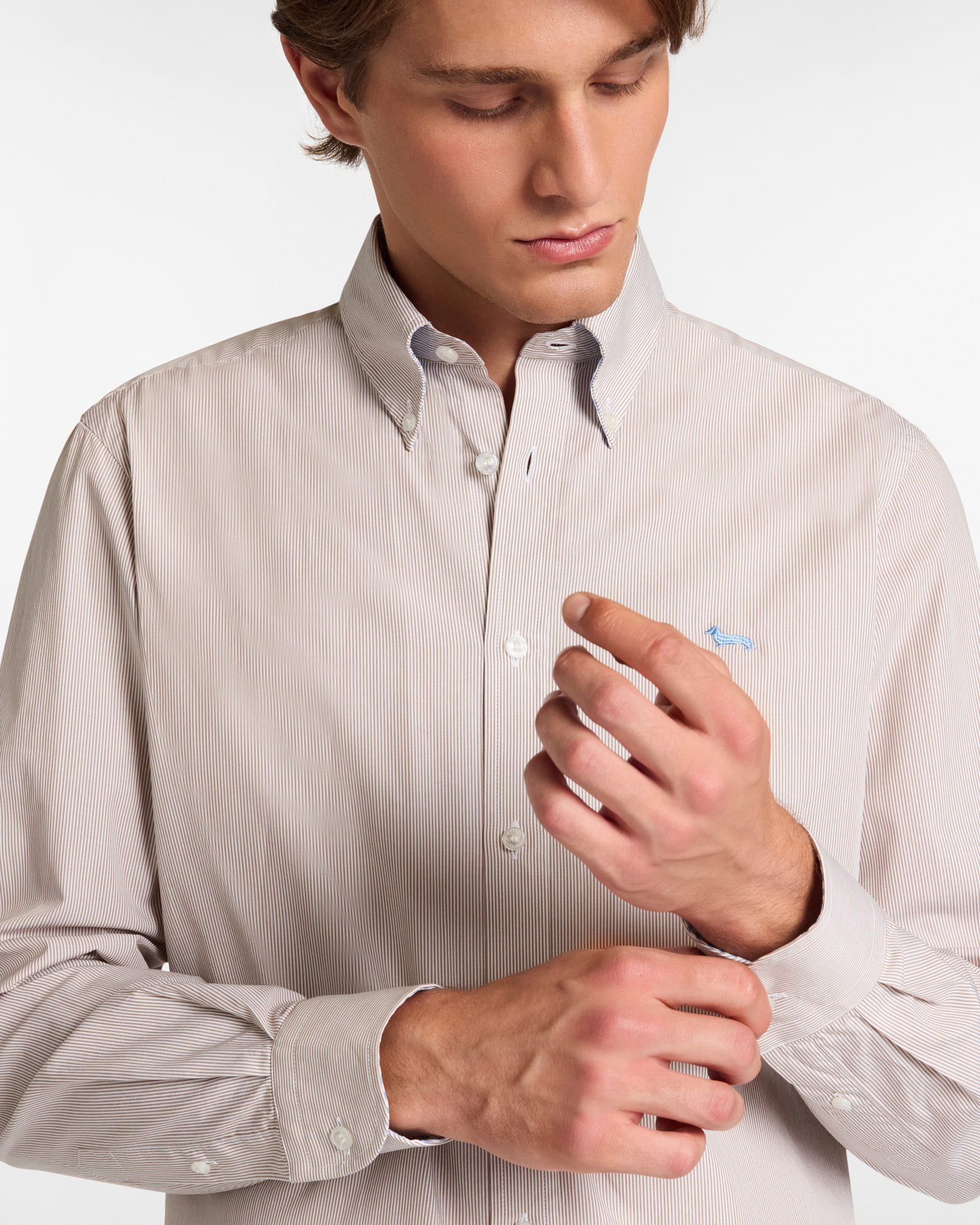 Microstripe Shirt with Dachshund, Dove Gray, large image number 2