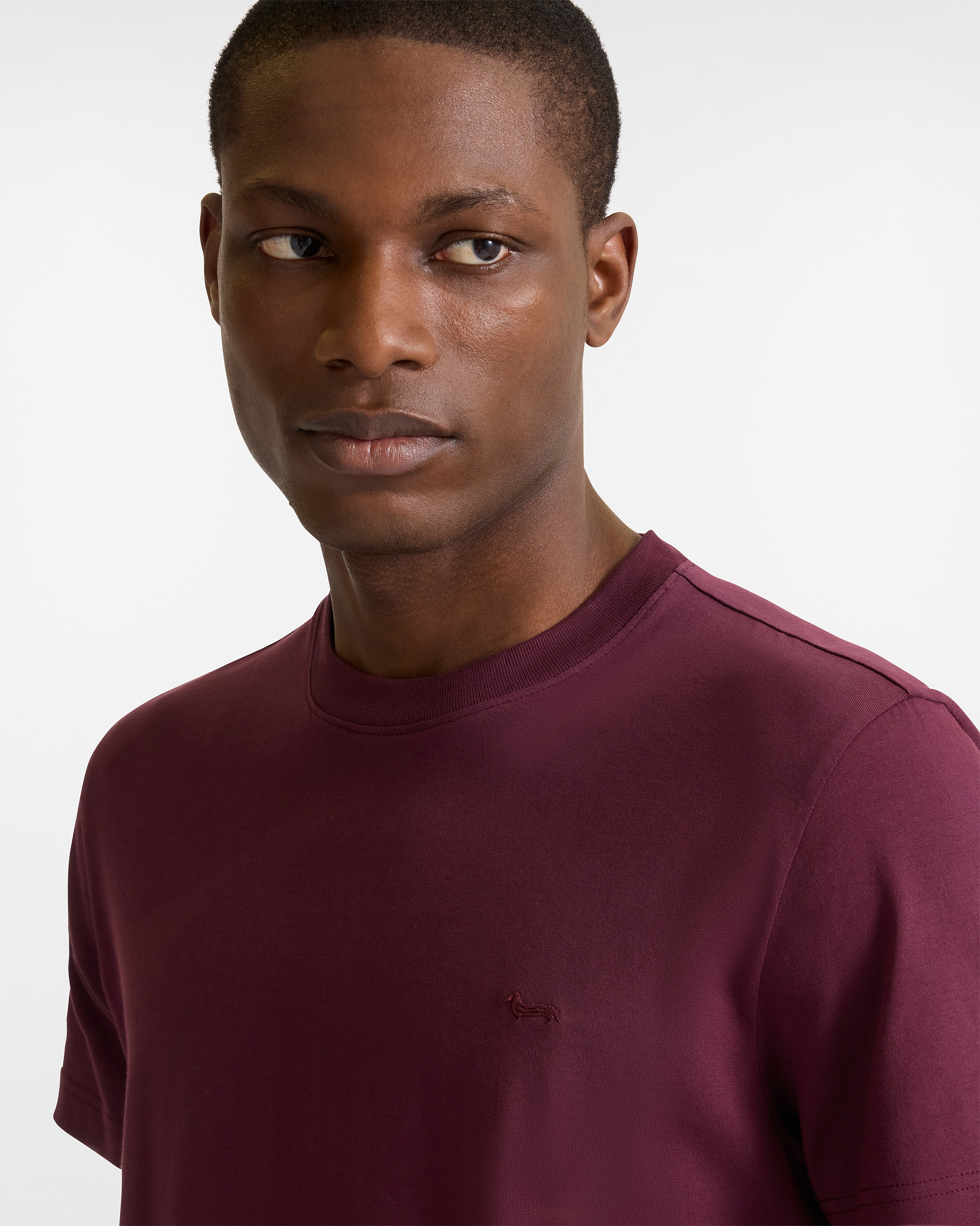 Pima Cotton T-Shirt with Dachshund, Dark Red, large image number 2