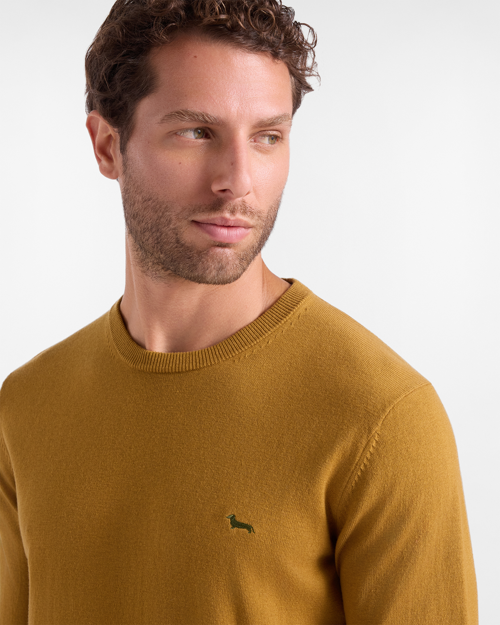 Men's regular fit sweater in a  wool and cotton blend, DARK BROWN, large image number 2