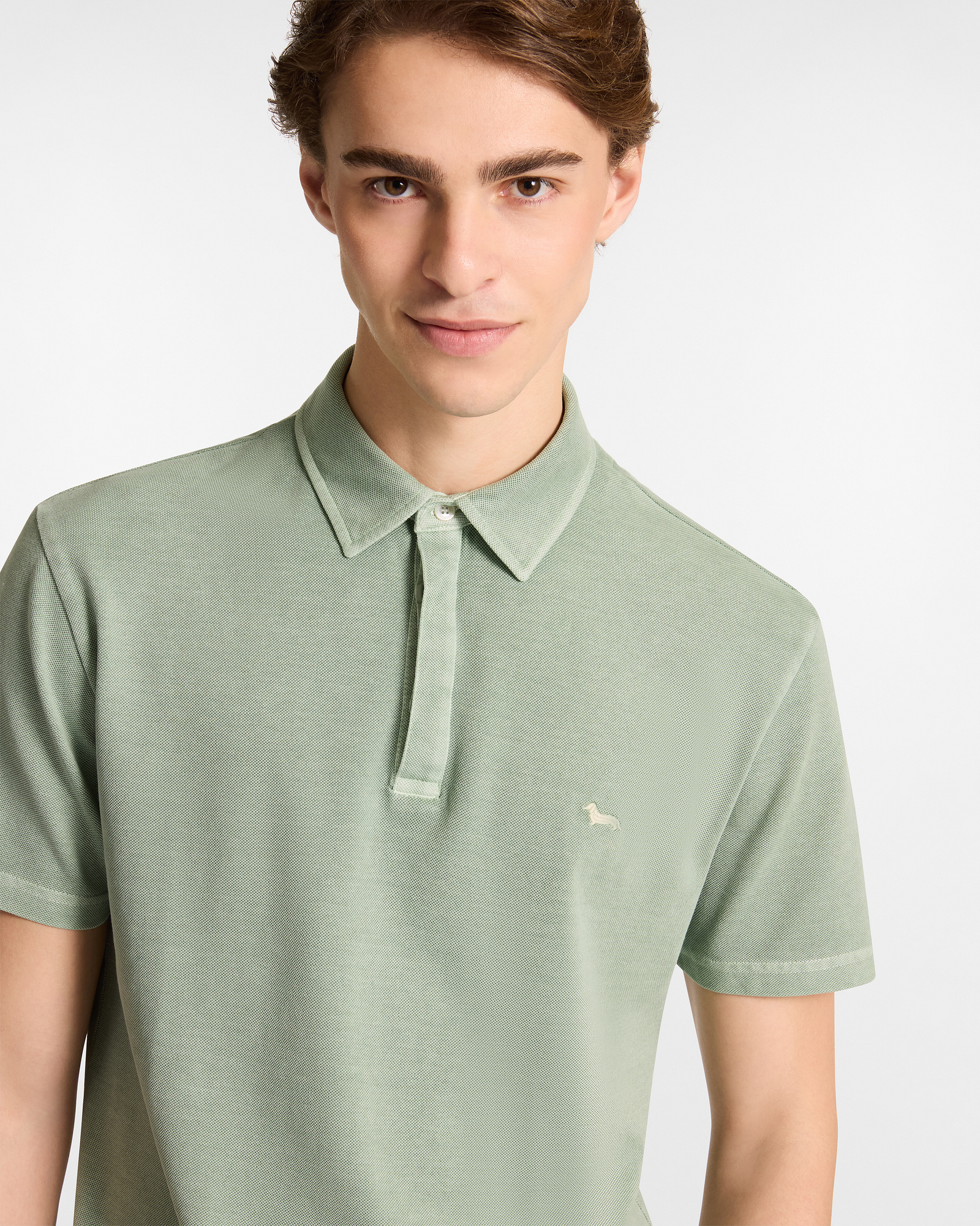 Cotton Polo with Dachshund, Light Green, large image number 2