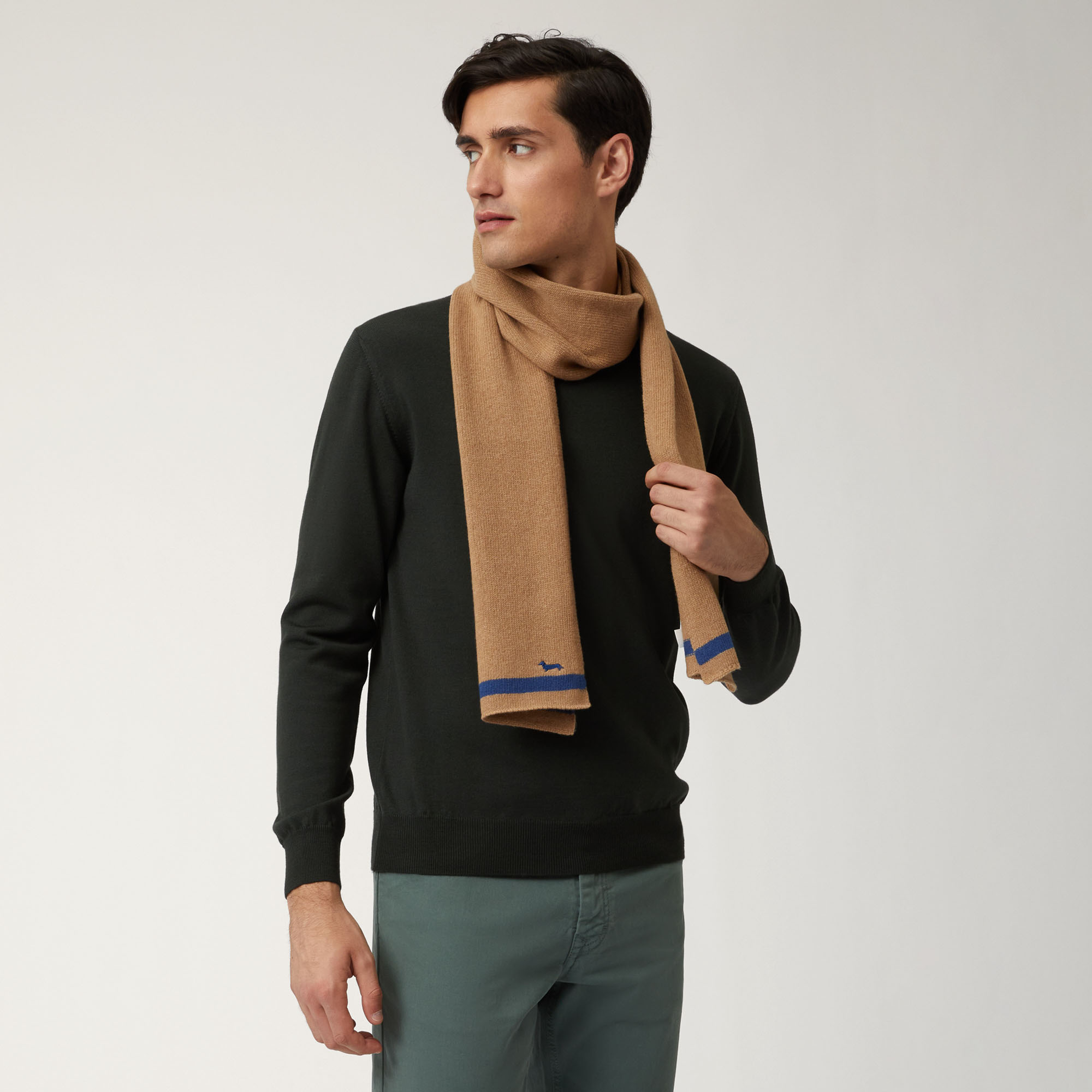 Sciarpa In Misto Cashmere Bicolor Con Bassotto, Beige, large image number 2