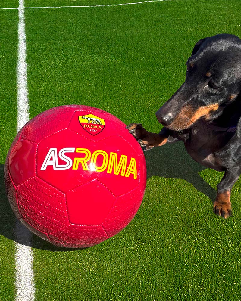 Harmont & Blaine proudly continues its exclusive partnership with AS Roma Women, a club that embodies determination, talent, and passion for football.