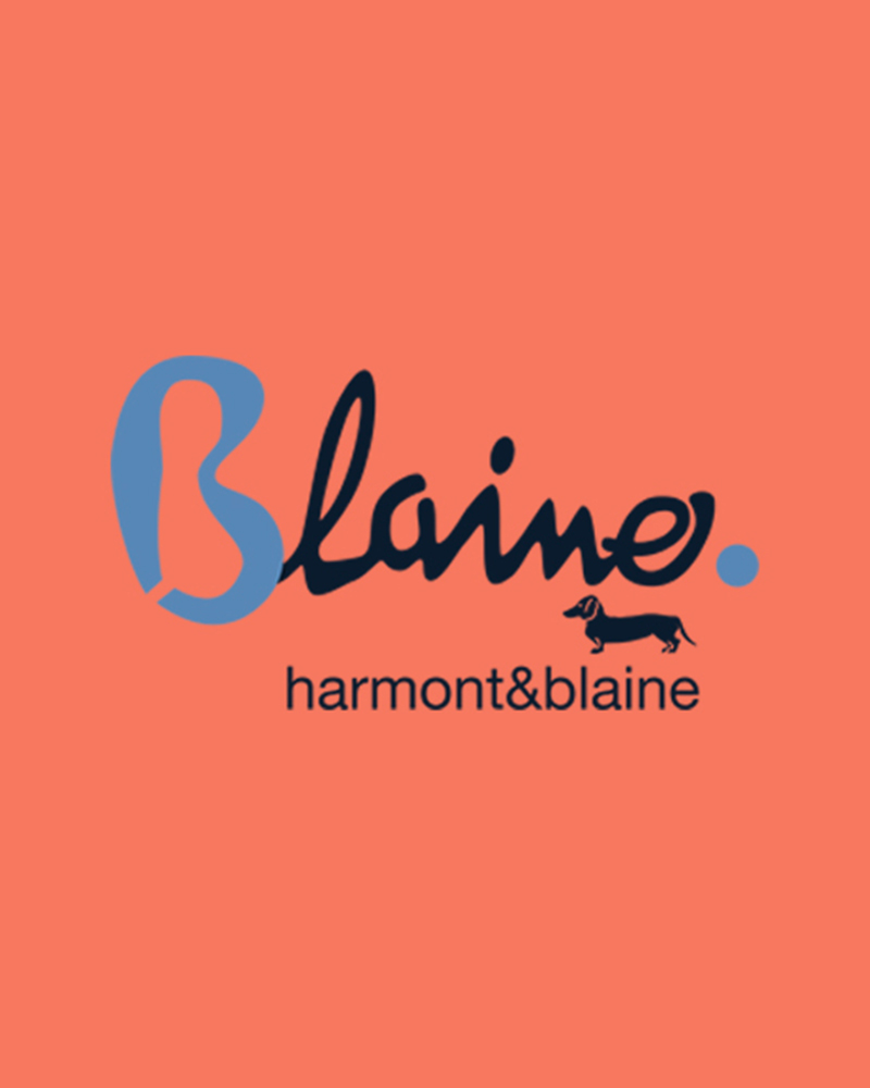 Blaine is the new diffusion line of Harmont & Blaine, a product extension characterized by a specific focus that differentiates it from other collections without ever disconnecting it from the brand's philosophy, values, and DNA, following a commercial diversification strategy based on the concept of "smart style + smart price."