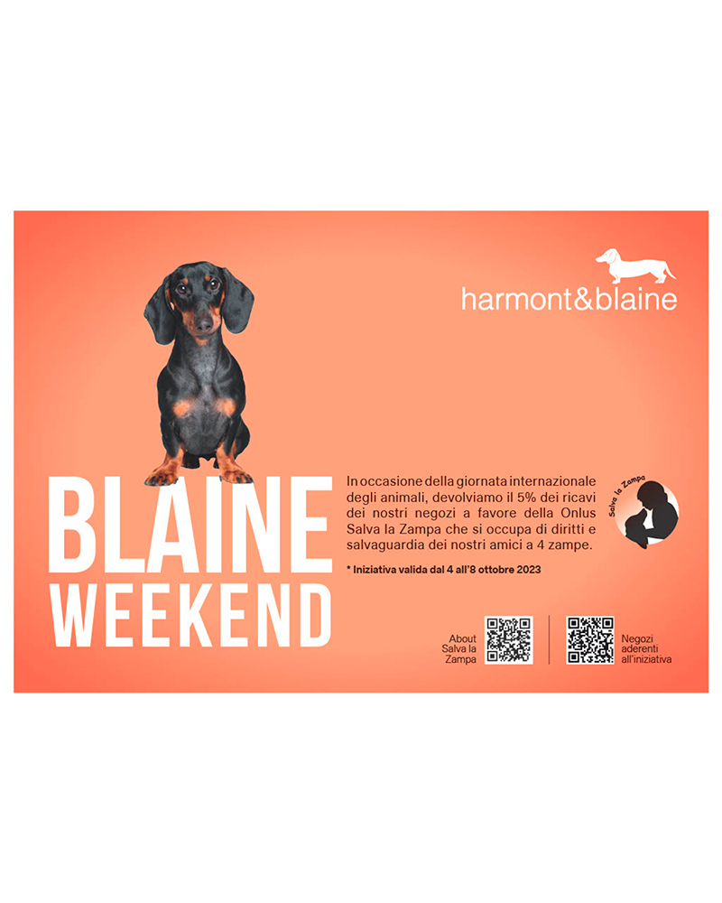 On the occasion of World Animal Day last October 4th, Harmont & Blaine launched a new charitable initiative in support of ETS Salva la Zampa, an Italian association dedicated to the rescue, care, and protection of abandoned dogs. They pledged to allocate 5% of the proceeds from the sales of select product lines on that day to support various missions and activities undertaken by the association's volunteers.